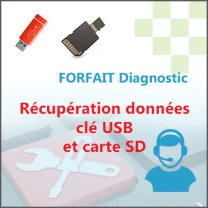 FORFAIT Diagnostic – Récupération données clé USB et carte SD
